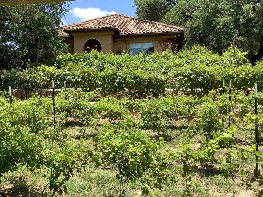 Villa At Cibolo Chase, A Private Resort With Pool Bulverde Exteriér fotografie